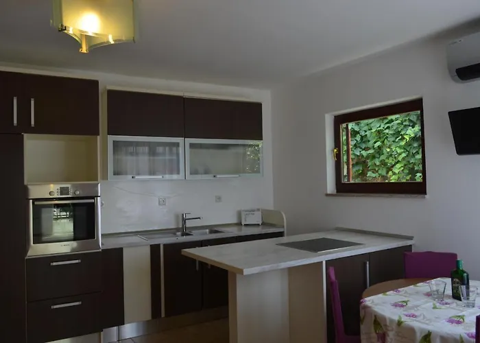 Roguljic * Σπλιτ